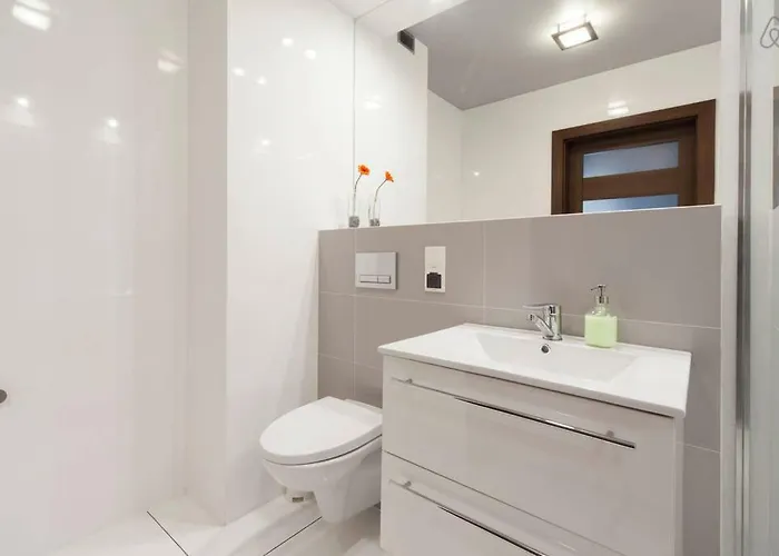 Aparts Dabrowskiego 酒店 *